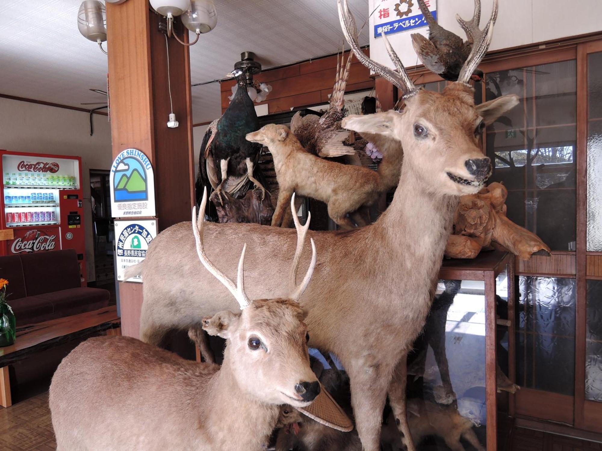 Shintaku Sanso Hotel Minamimaki Buitenkant foto